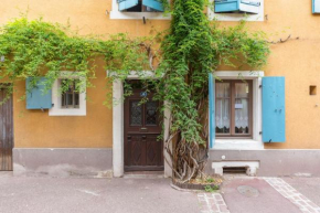 Travel Homes -The Cigogne, quiet & heart of Colmar